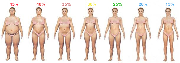 Het normale vetgehalte bij vrouwen (25%)