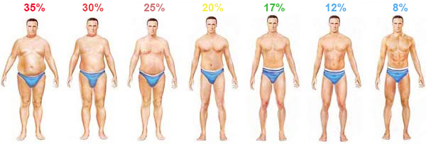 Het normale vetgehalte bij mannen (17%)