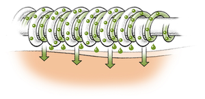 Microcapsules met Aloë Vera en vitamine E verzorgen de huid met voedende substanties