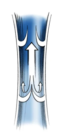 Venenklappen regeln den Rückfluss.