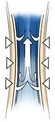 Blutzirkulation in Venen durch Kompression
