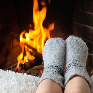 Am 21. Januar ist Kuscheln angesagt. © Anton Balazh / Fotolia Am 21. Januar ist Kuscheln angesagt. © Anton Balazh / Fotolia