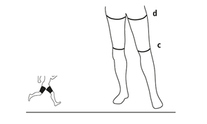 O-Motion Professional Calf Tubes