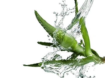 Memory Aloe Vera von Ofa Bamberg versorgt die Haut dank Aloe Vera-Extrakten und Vitamin E mit Feuchtigkeit