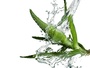 Memory Aloe Vera von Ofa Bamberg versorgt die Haut dank Aloe Vera-Extrakten und Vitamin E mit Feuchtigkeit