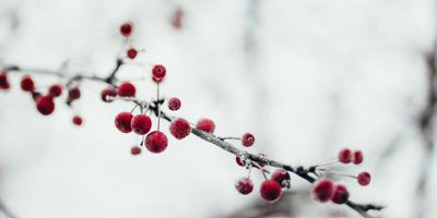 Wenn der Winter Einzug hält, verändert sich nicht nur unsere Umwelt.