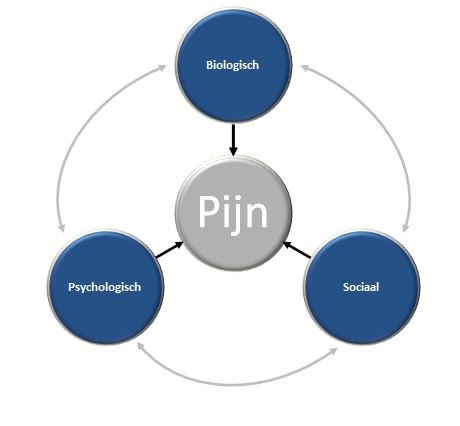 Het biopsychosociale pijnmodel