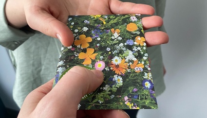 Eine Hand legt ein Samentütchen in eine andere Hand