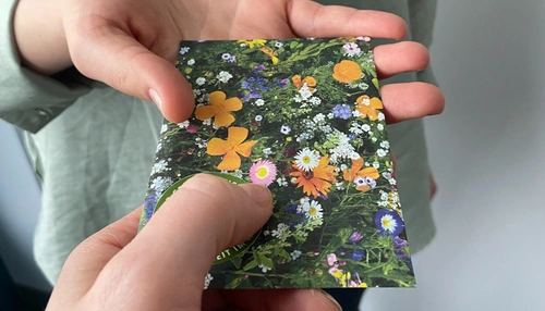 Eine Hand legt ein Samentütchen in eine andere Hand