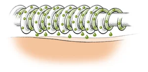 Microcapsules met Aloë Vera en vitamine E verzorgen de huid met voedende substanties