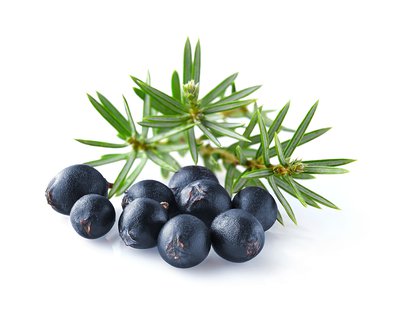 Juniper, one of the eight tasteful new Lastofa colours. Juniper, one of the eight tasteful new Lastofa colours.