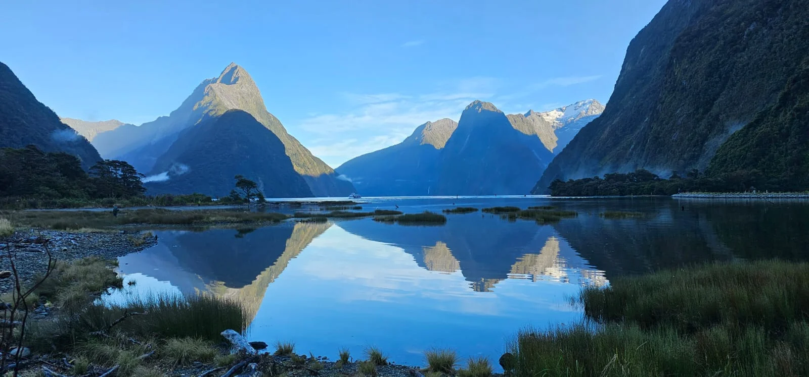 Naturbild vom Fjord Milford Sound in Neuseeland